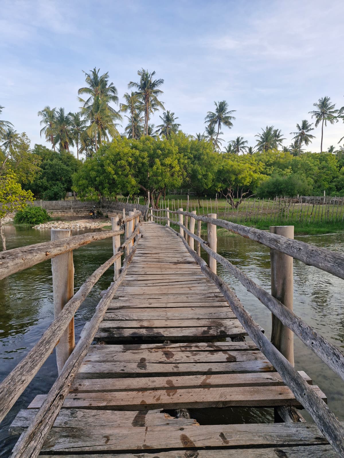 Mangrove Hike, Lunch and Canoe