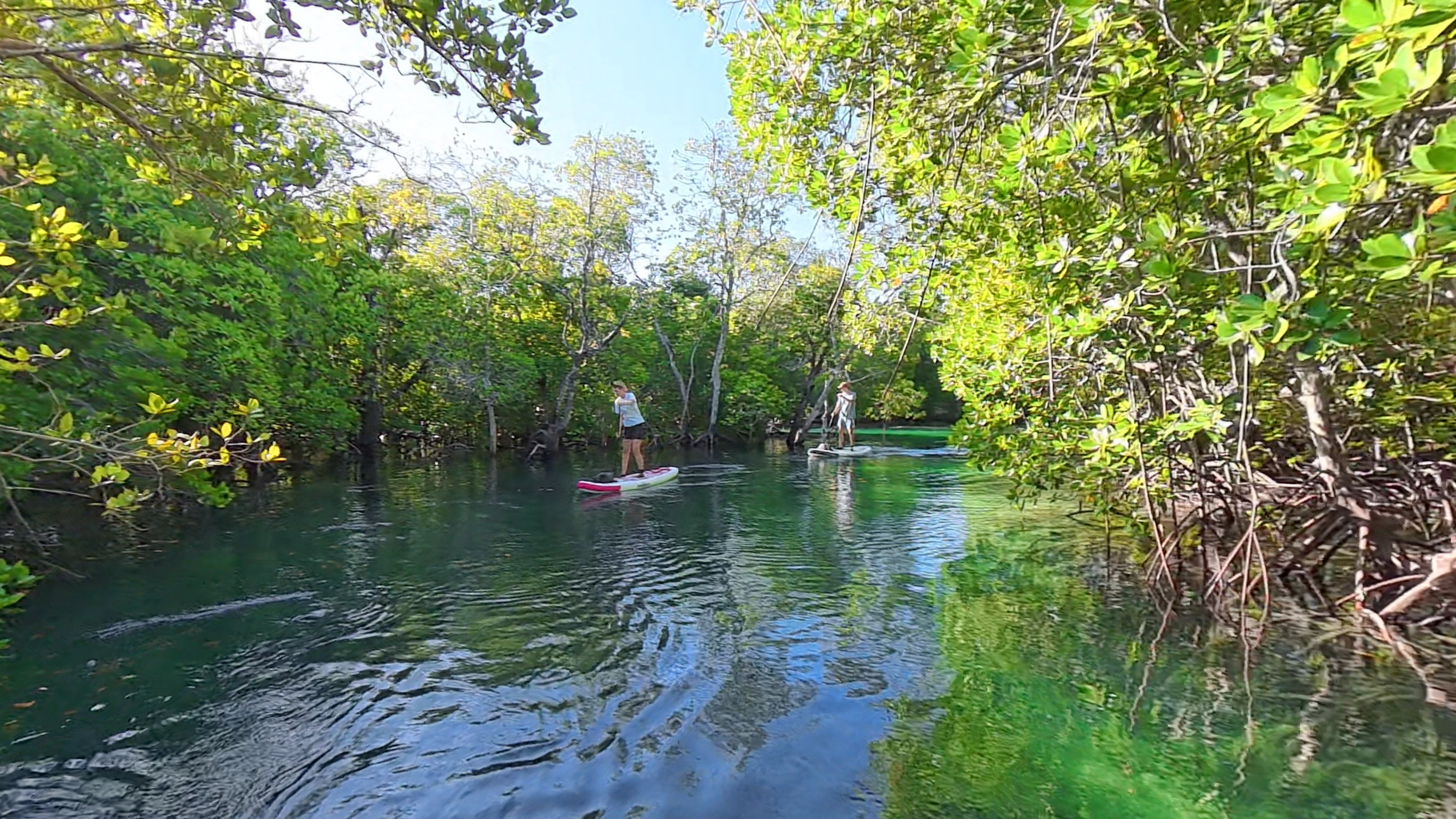 Paddle Experience