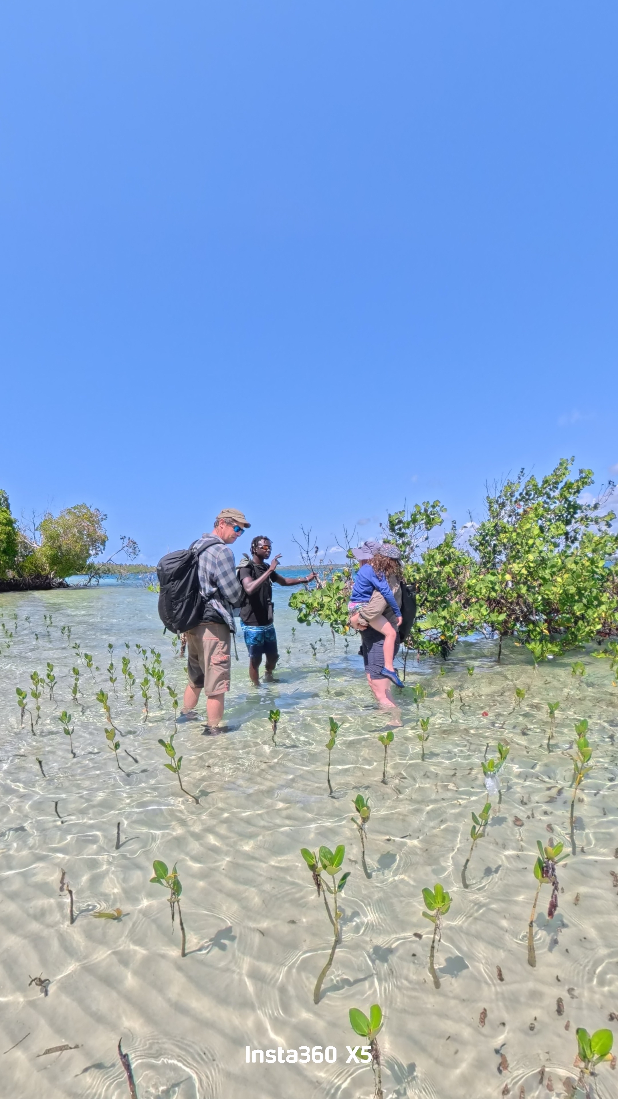 Mangrove Hike, Lunch and Canoe