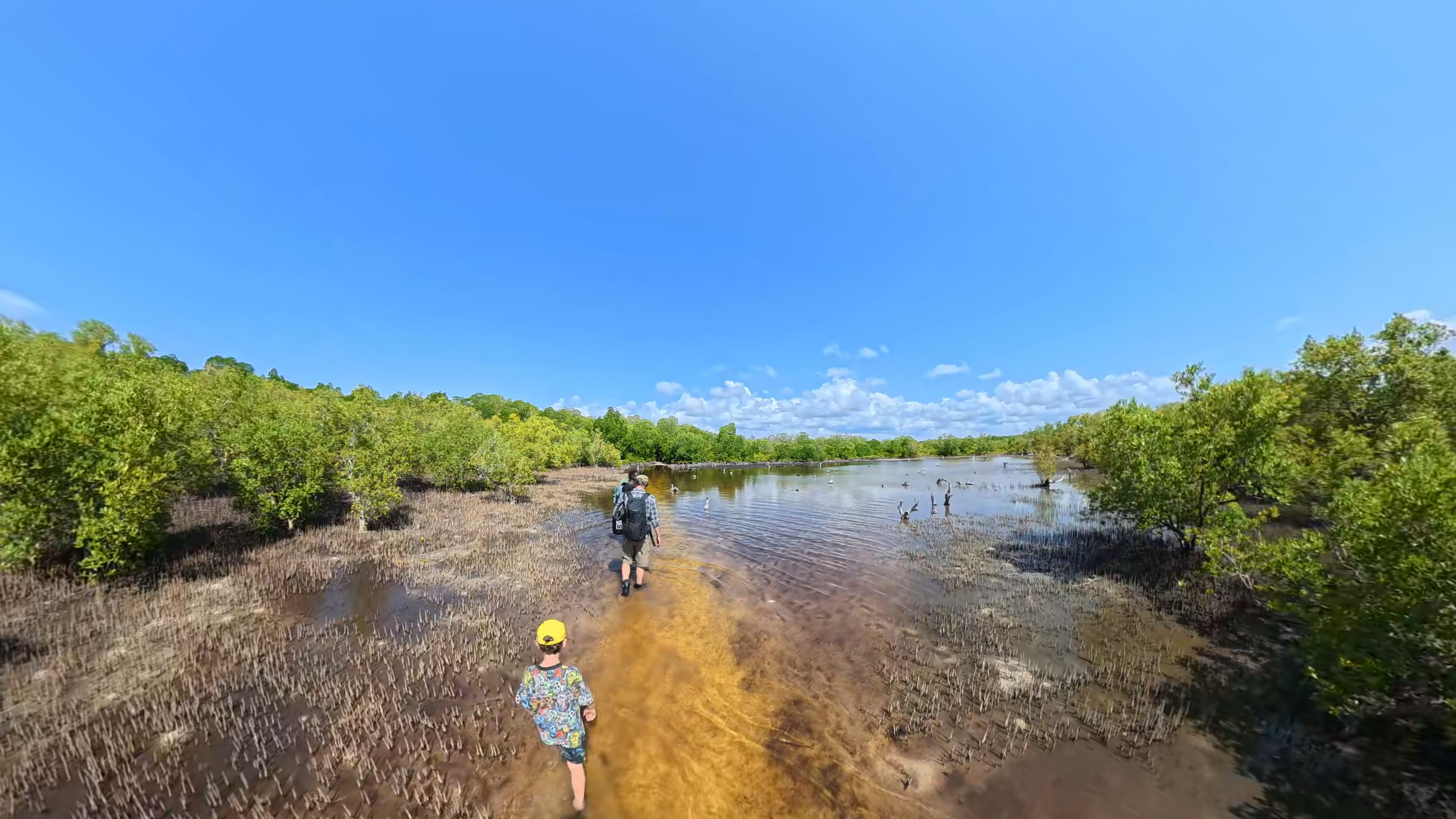 Mangrove Hike, Lunch and Canoe