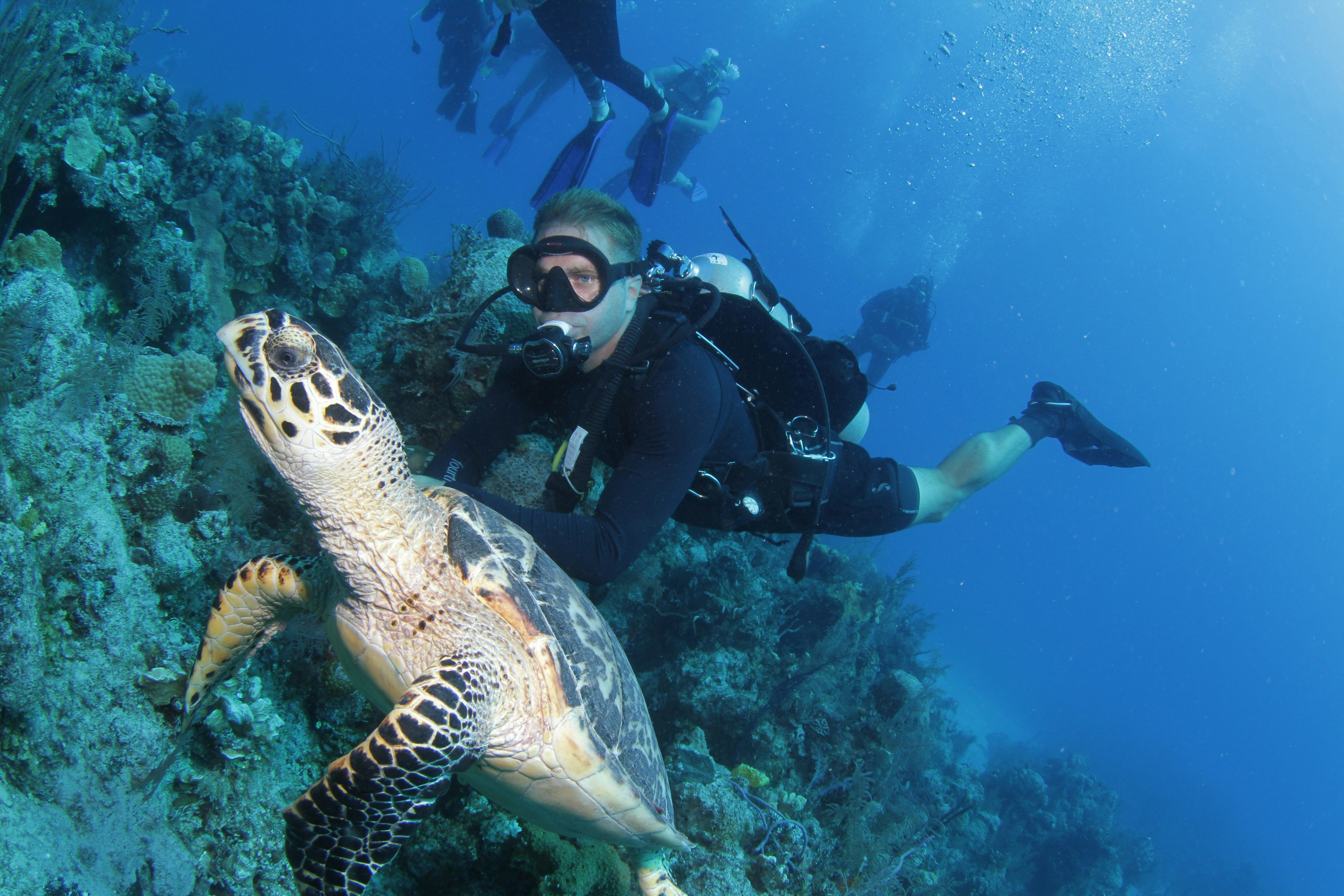 Diving