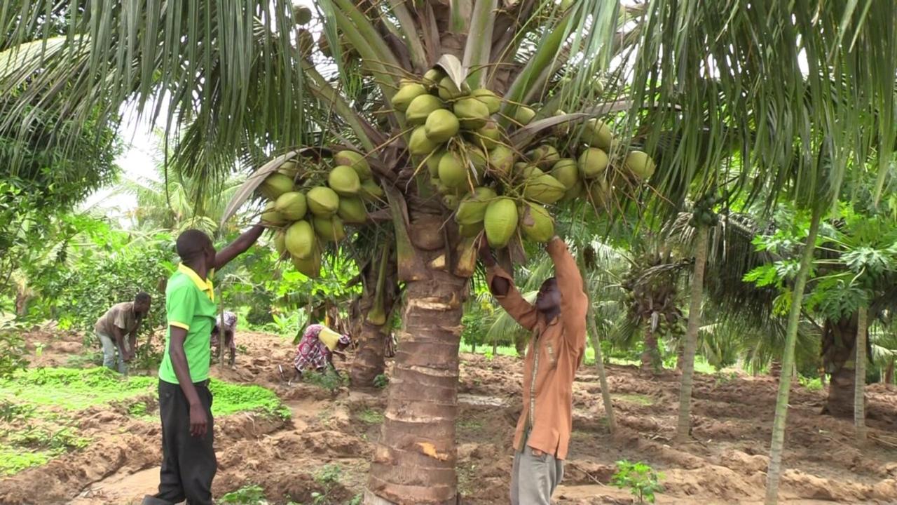 Local life