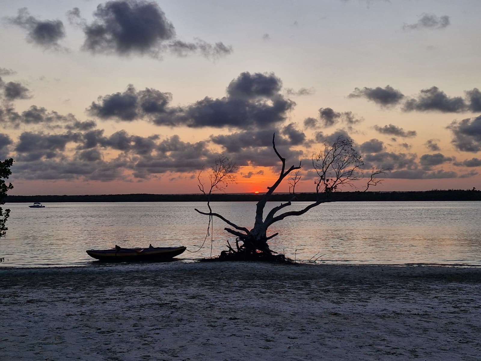 Mangrove Hike, Lunch and Canoe