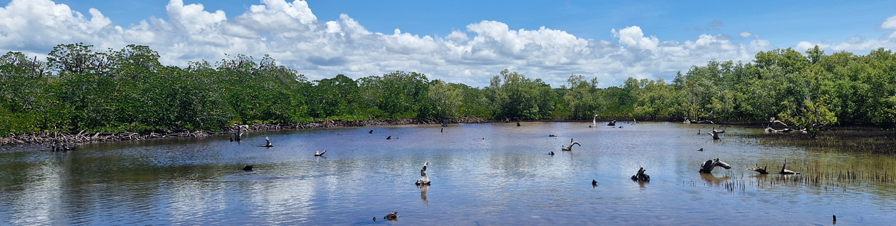 Watamu creek