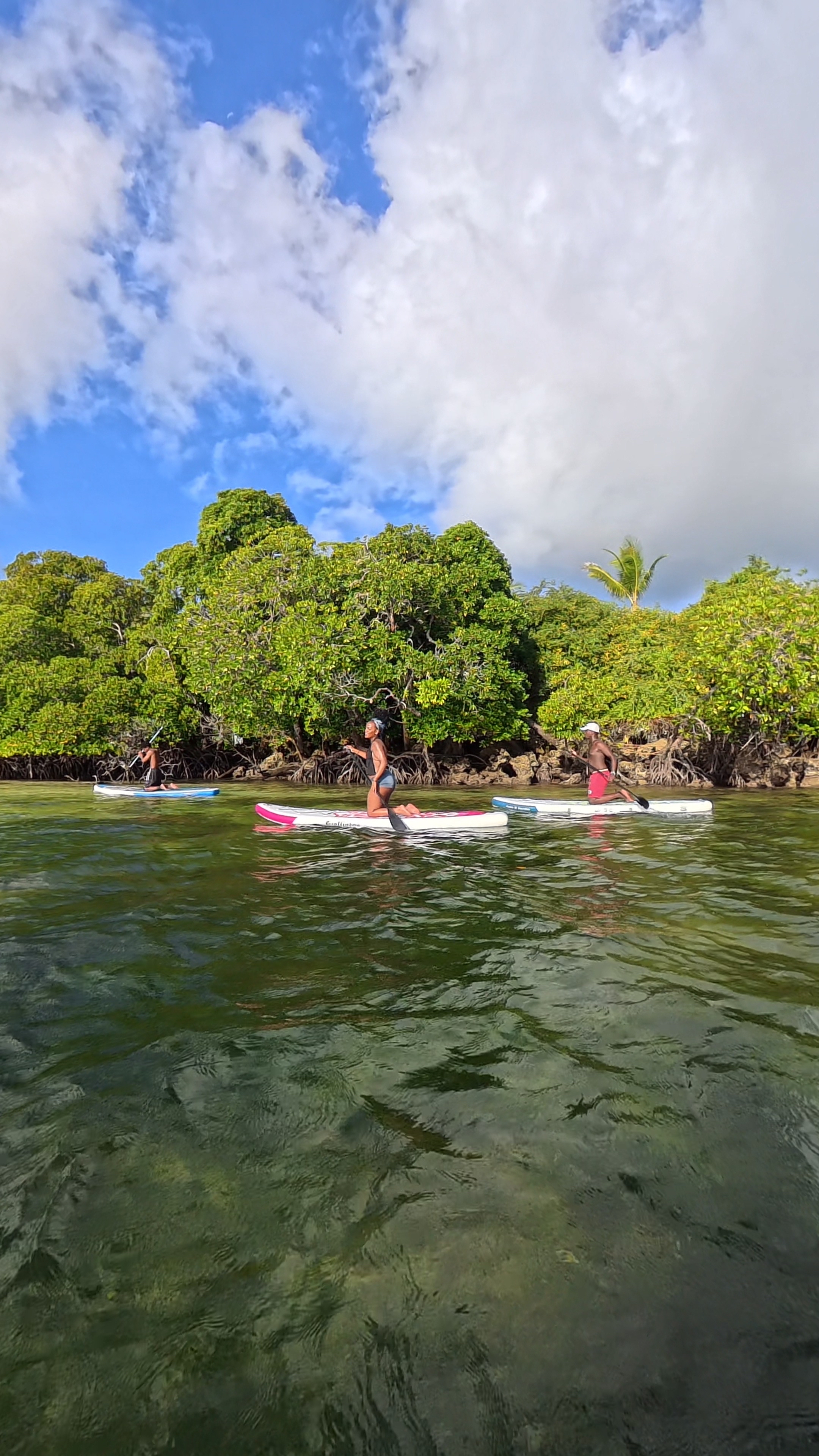 Paddle