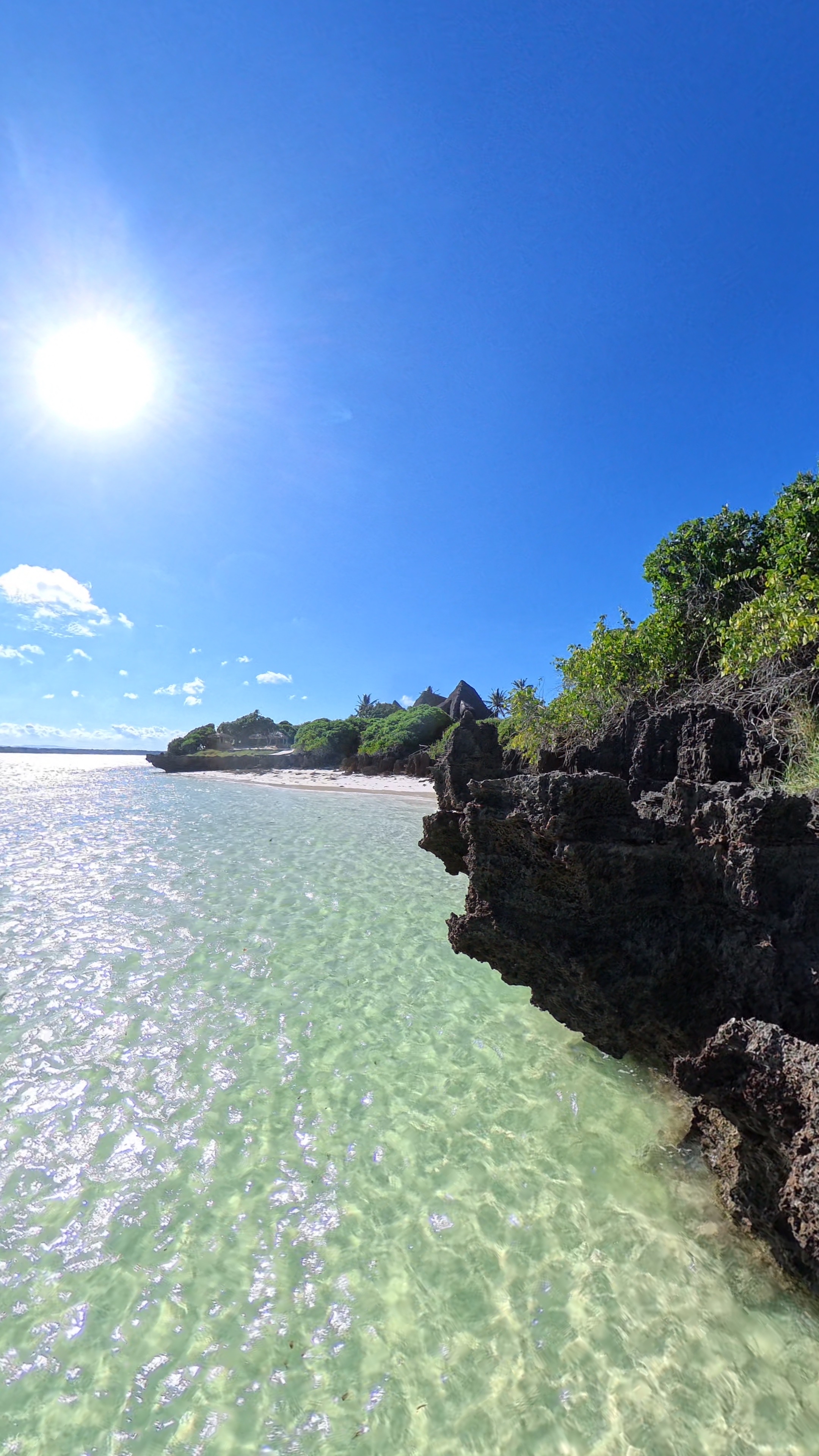 Mida Creek mangrove