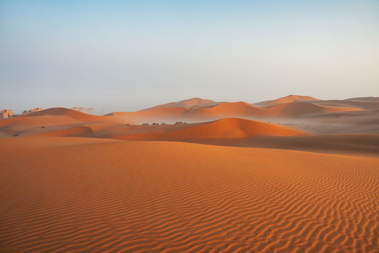 Desert Wonders