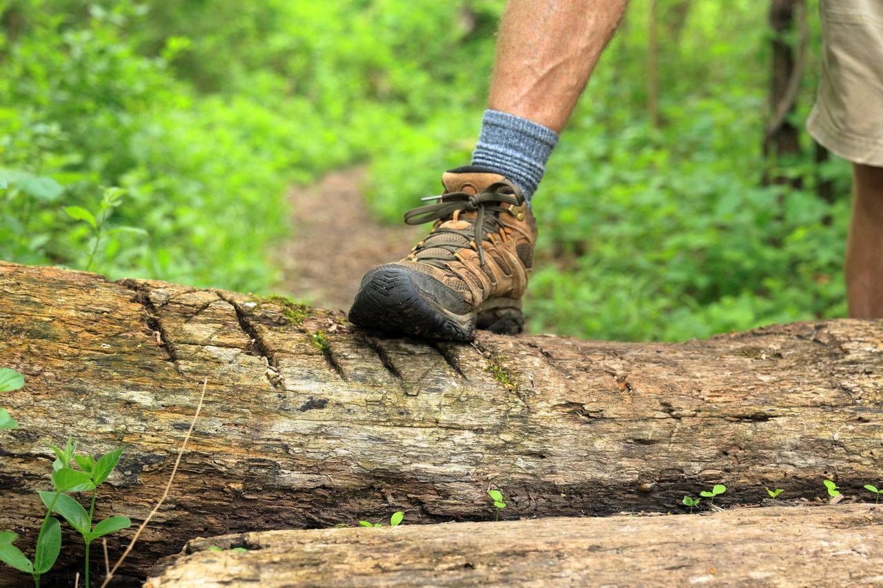 Premium Hiking Boots Comparison