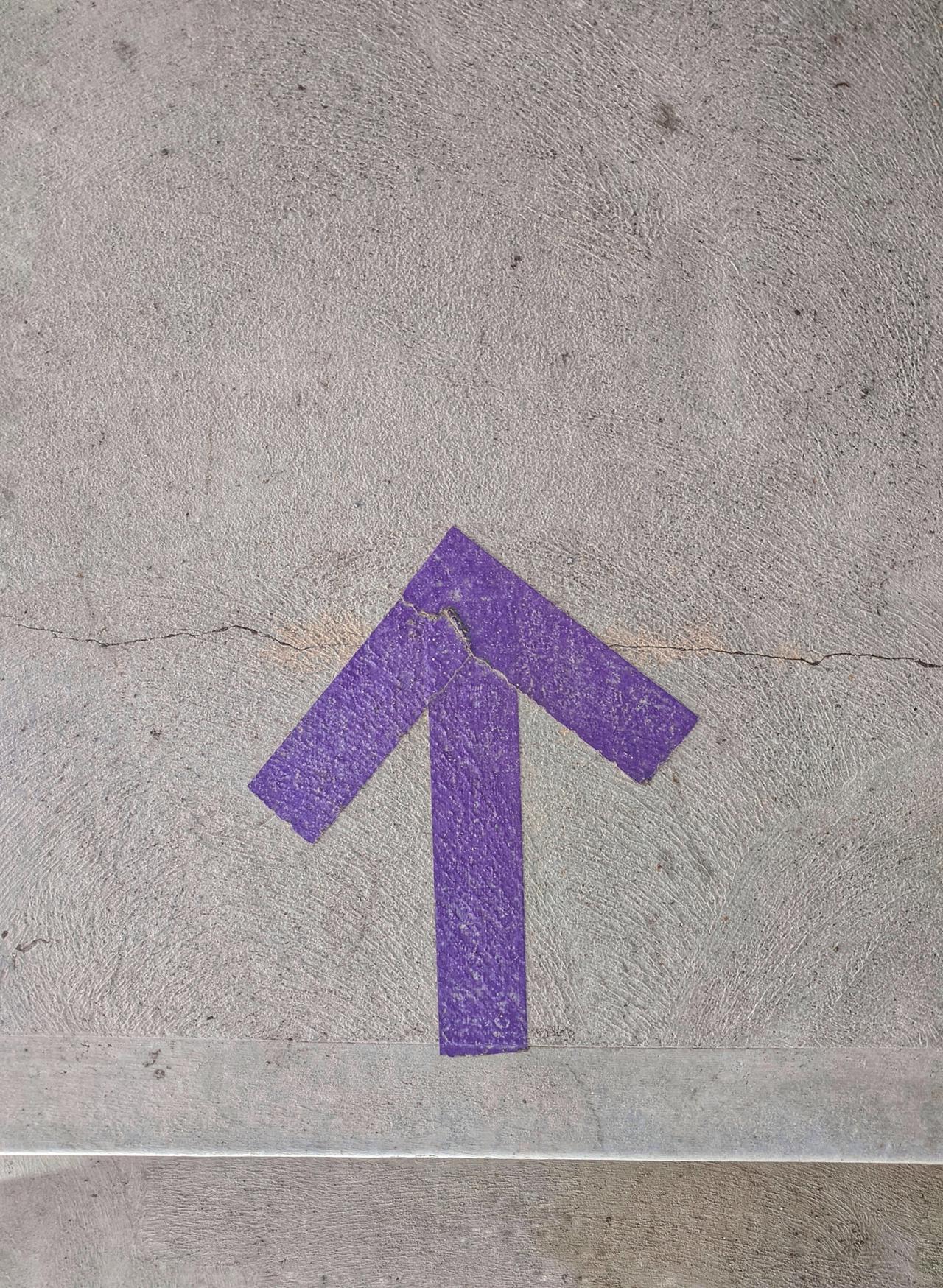 This is an image of a purple arrow pointing up.