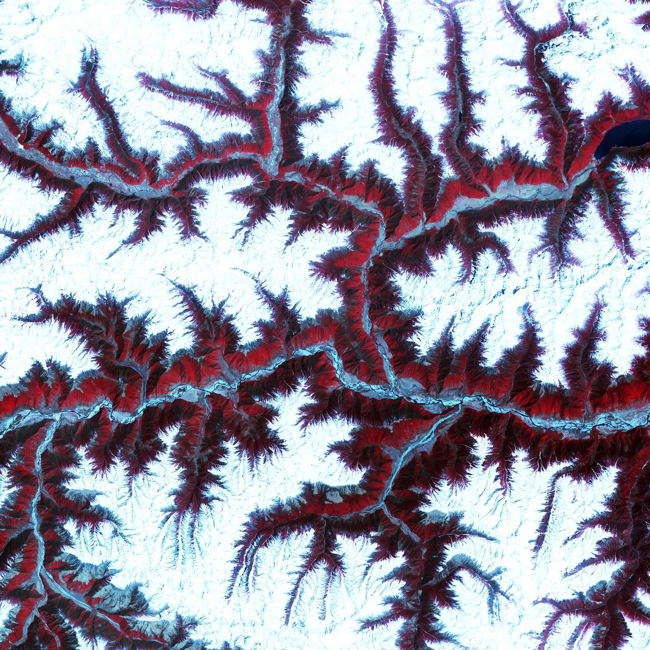 Soaring, snow-capped peaks and ridges of the eastern Himalaya Mountains create an irregular white-on-red patchwork between major rivers in southwestern China. The Himalayas are made up of three parallel mountain ranges that together extend more than 2,900 kilometers.

