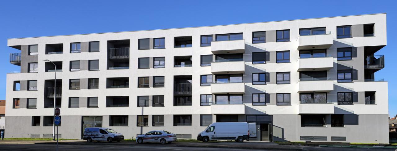 20241217_112851 - copy copy.jpg