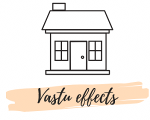 vastu effects.png