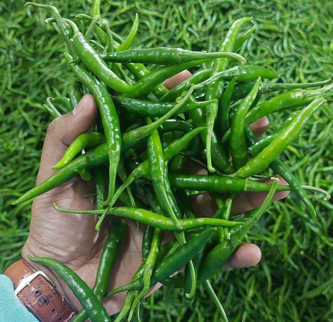 g4-green-chilli-3-8-kg-net-4-2-kg-gross-per-box.jpg