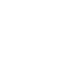 mandala (2).png