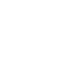 mandala (1).png