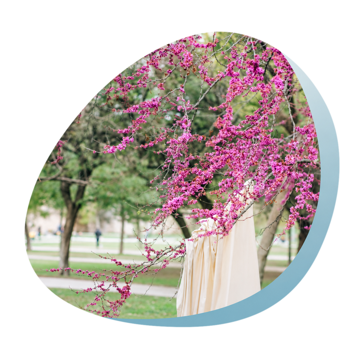 elanvital-floral-no-background.png