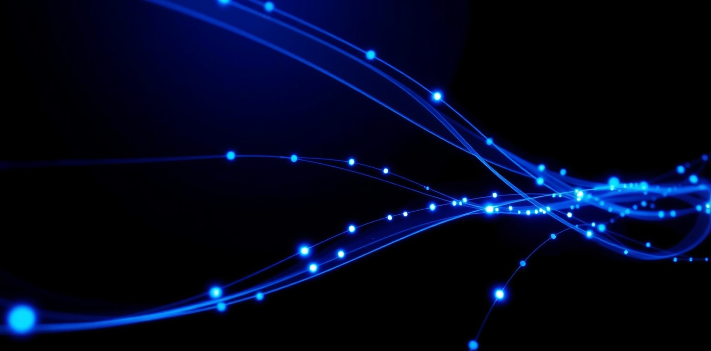 Fibre network connectivity visualization
