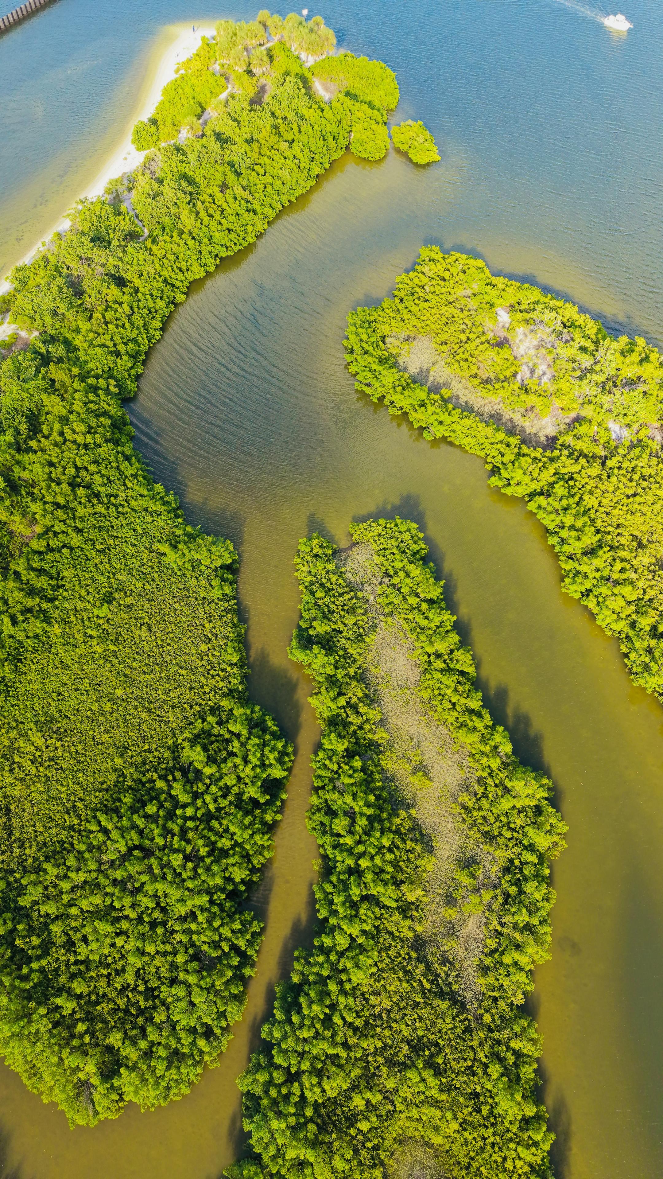 Aerial shot of lush green islands and waterways in Apollo Beach, Florida, showcasing vibrant nature.