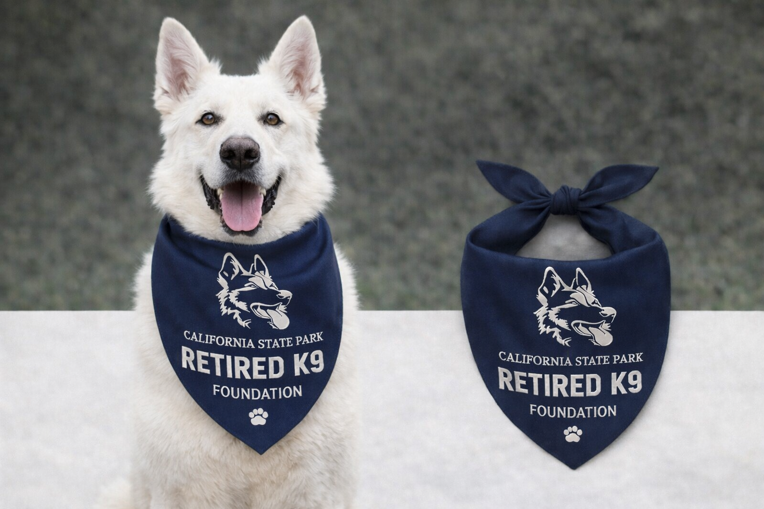 Navy & White Bandana