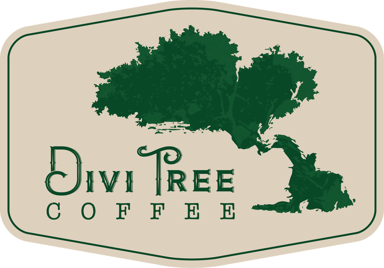 divi tree logo.png