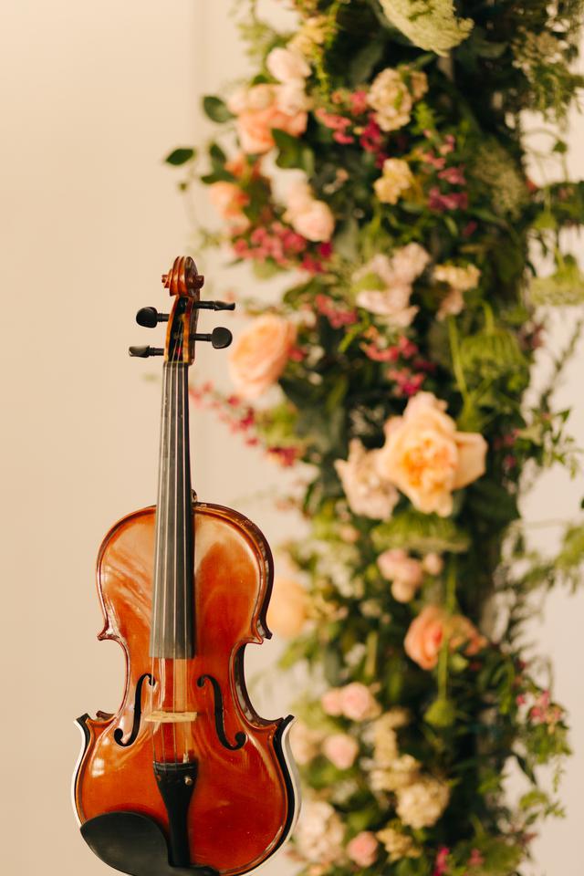 Guitarist or Violinist