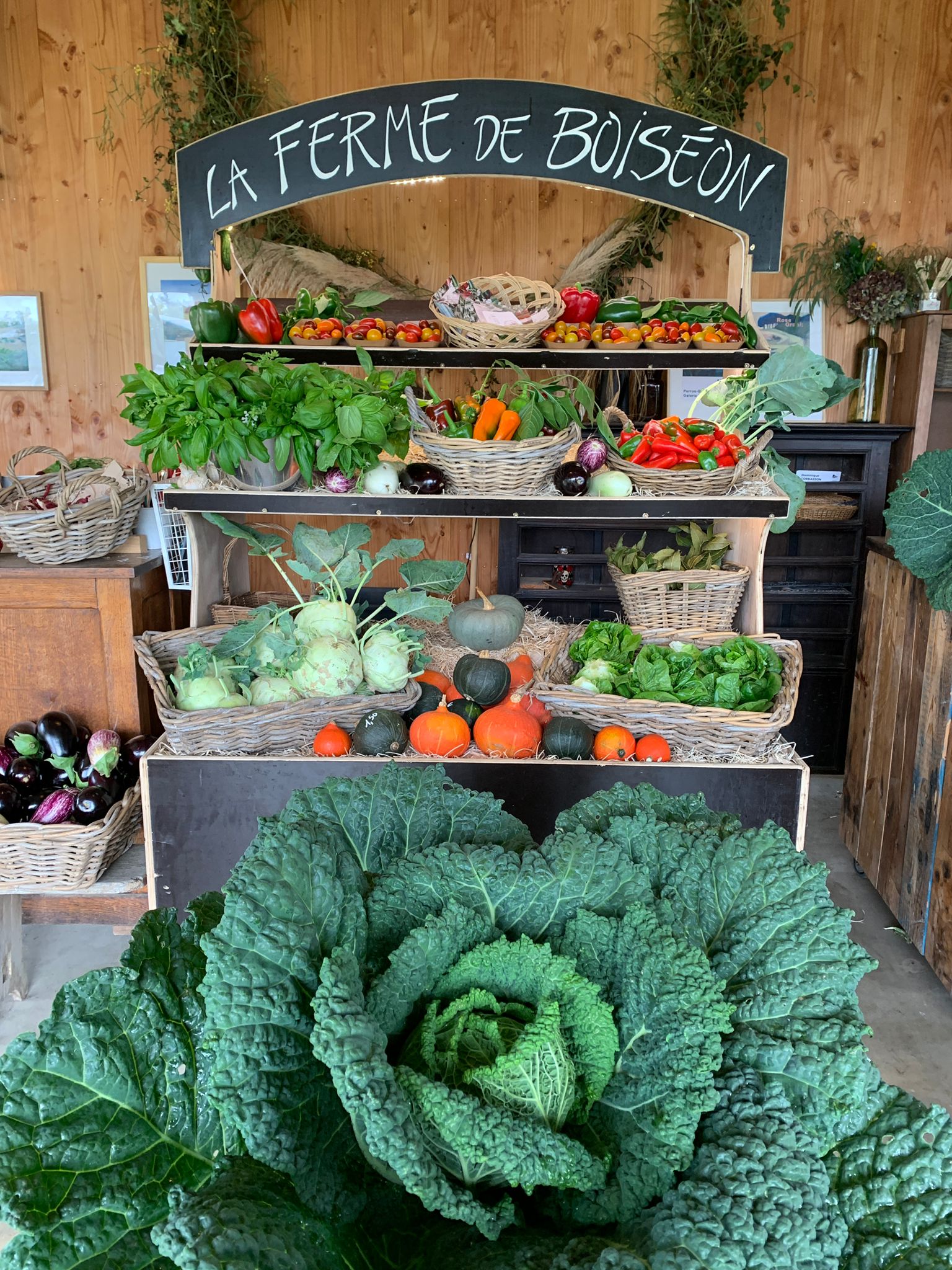 Récolte fraîche de légumes BIO certifiés cueillis à maturité - Ferme de Boiséon