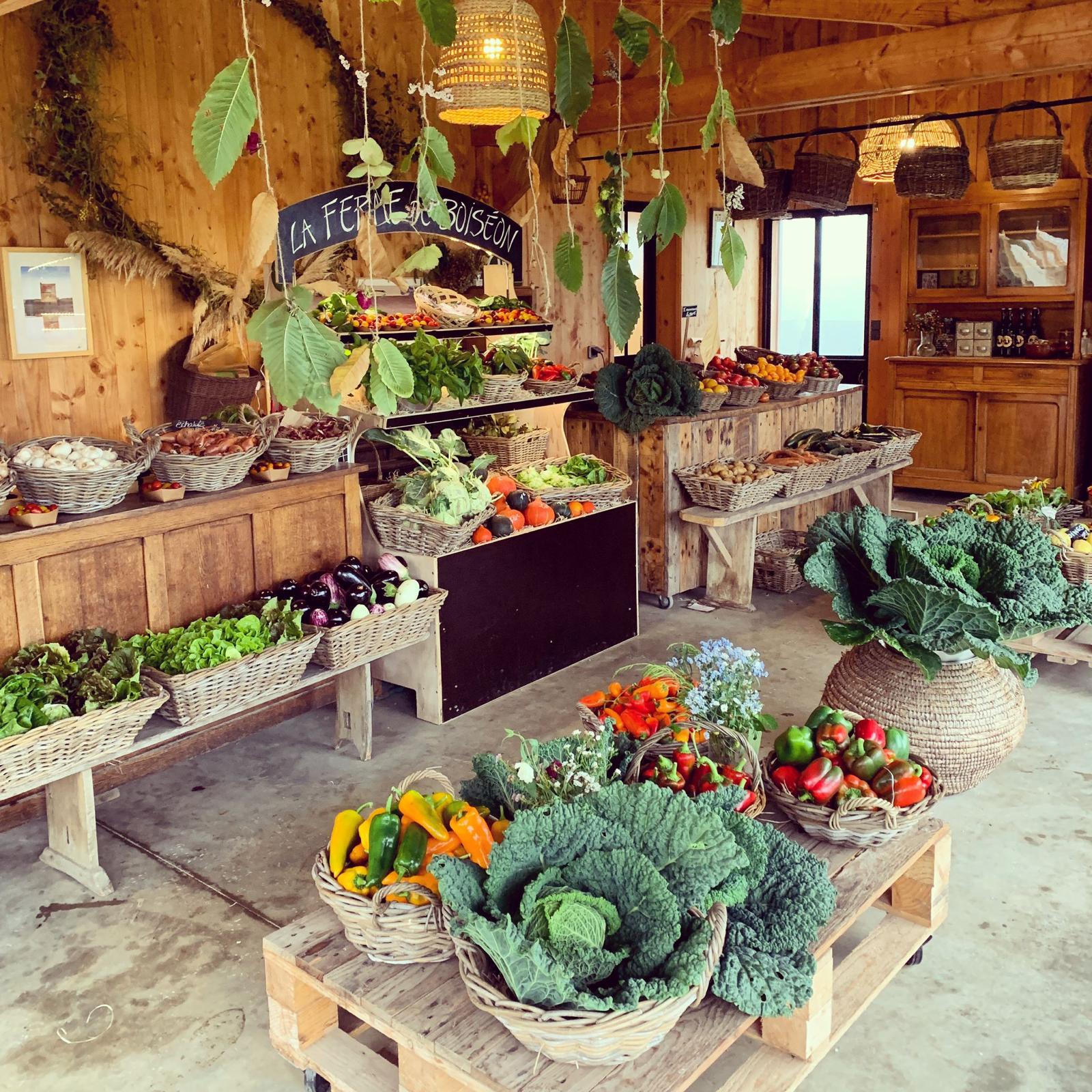 Ferme de Boiséon - Producteur de légumes BIO certifiés à Penvénan