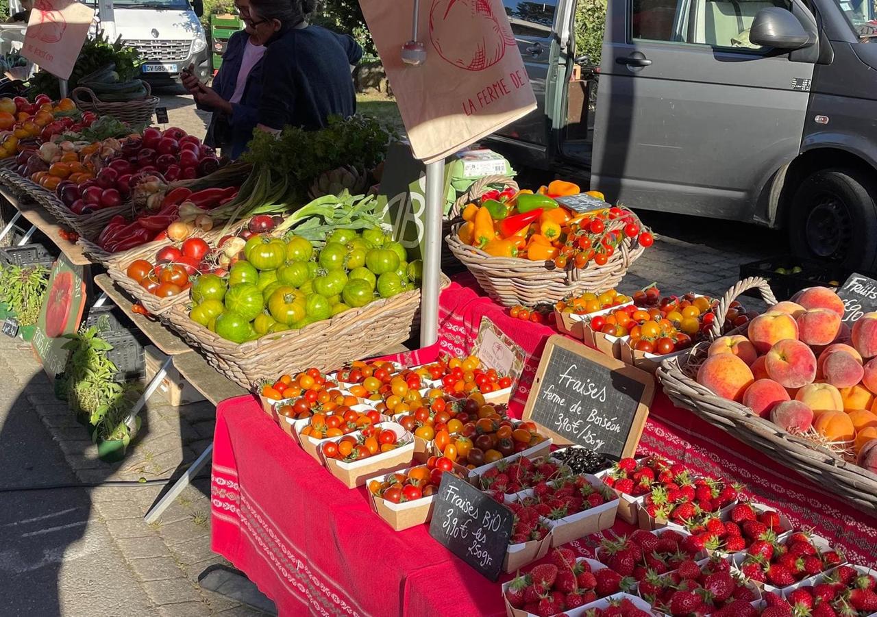 Stand Ferme de Boiséon au Marché de Penvénan - Légumes BIO frais toute l'année