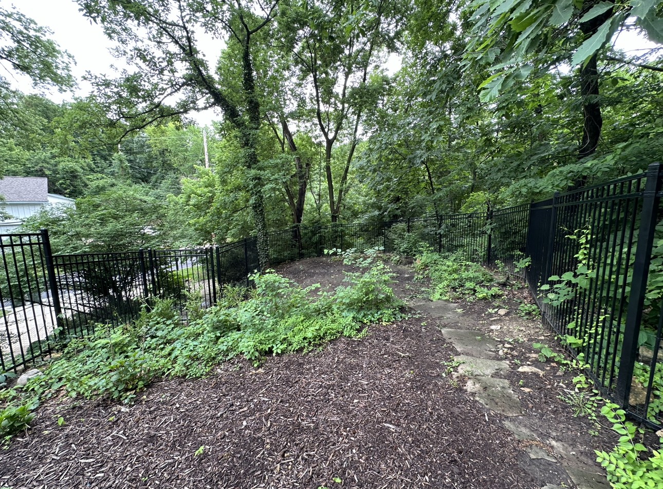Before Landscape Design