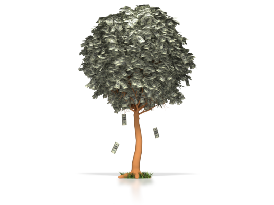 money tree.png