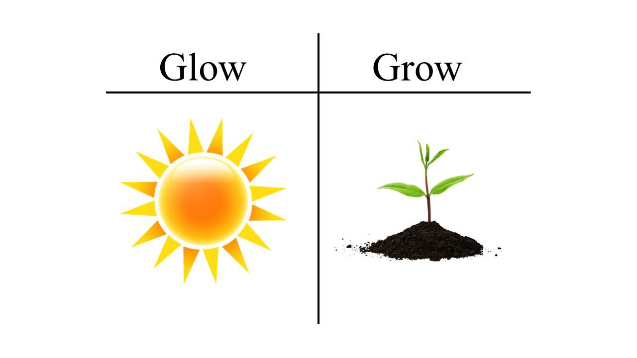 glow and grow.jpg