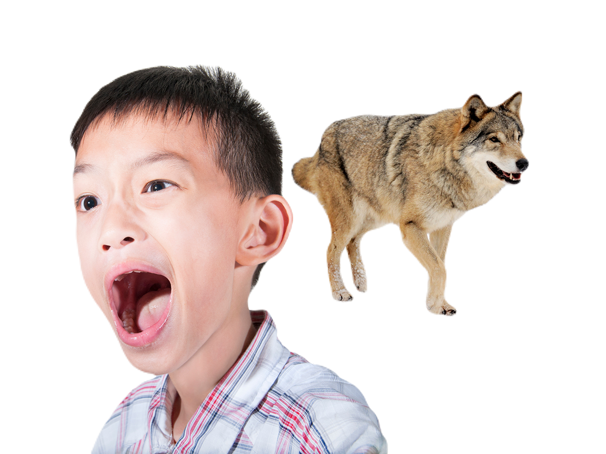 boy cried wolf.png