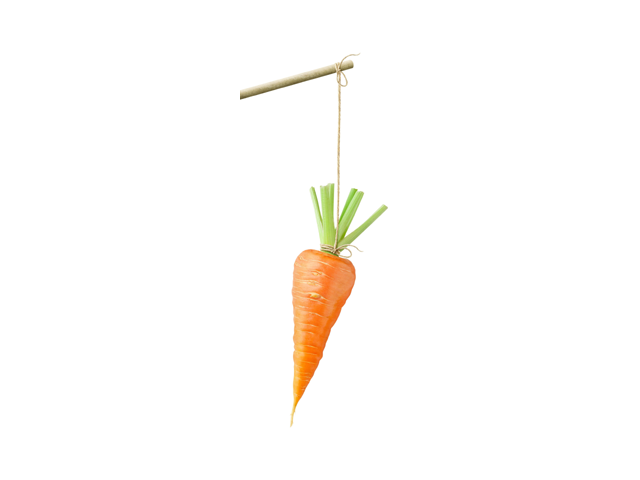 carrot-and-stick.png