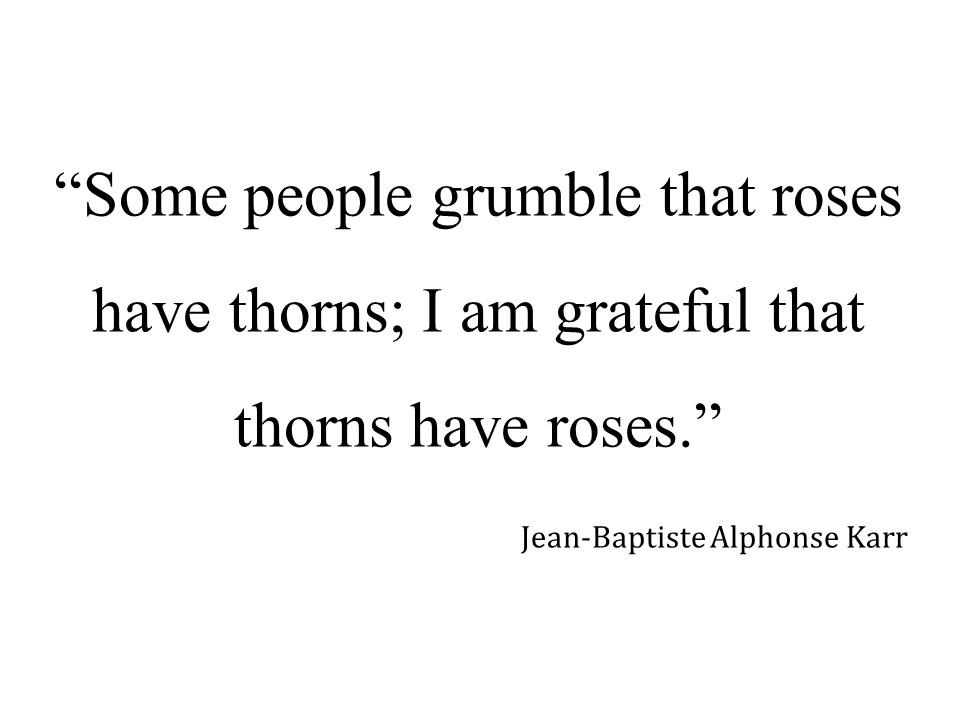 roses and thorns.jpg