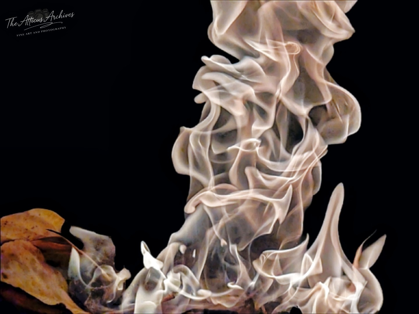 Sculptural plumes of crimson and violet colored smoke against a black background, painterly flowing forms