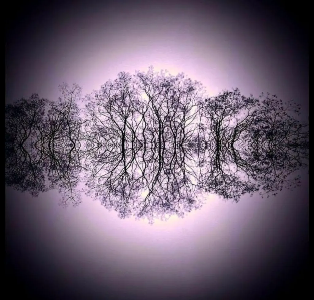 A solitary tree reflected symmetrically in still water at dusk, graded in violet and lavender tones, mirror-perfect reflection