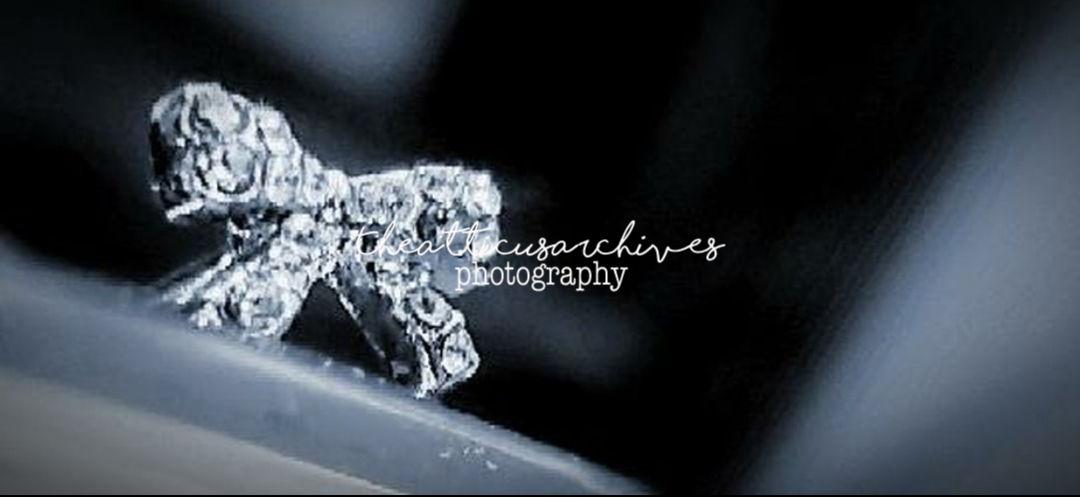 A frog rendered in silver-gray monochrome or selective color, contemplative wildlife study