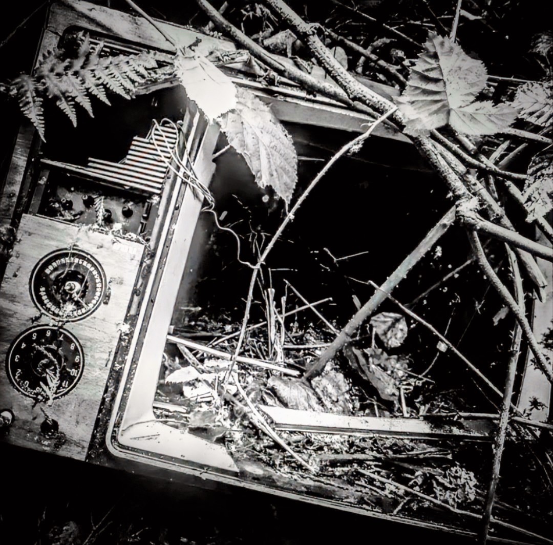An abandoned machine in a forest overgrown with moss, ferns and creeping vines, moody green light