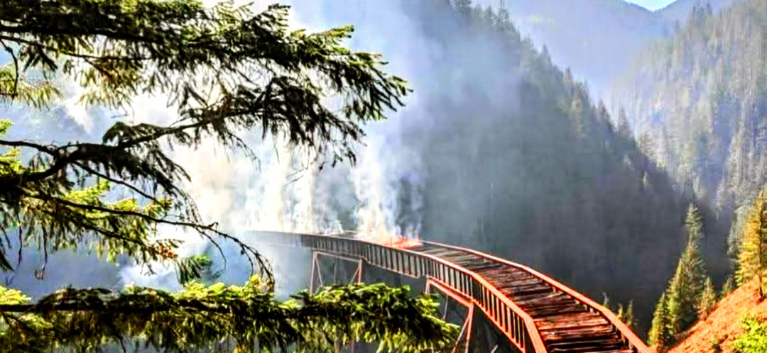 A deep red pedestrian bridge emerges from thick blue-gray forest mist in the Pacific Northwest, quiet and cinematic