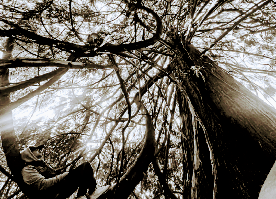 A figure reclining against a tree trunk in warm sepia tones, nostalgic portrait