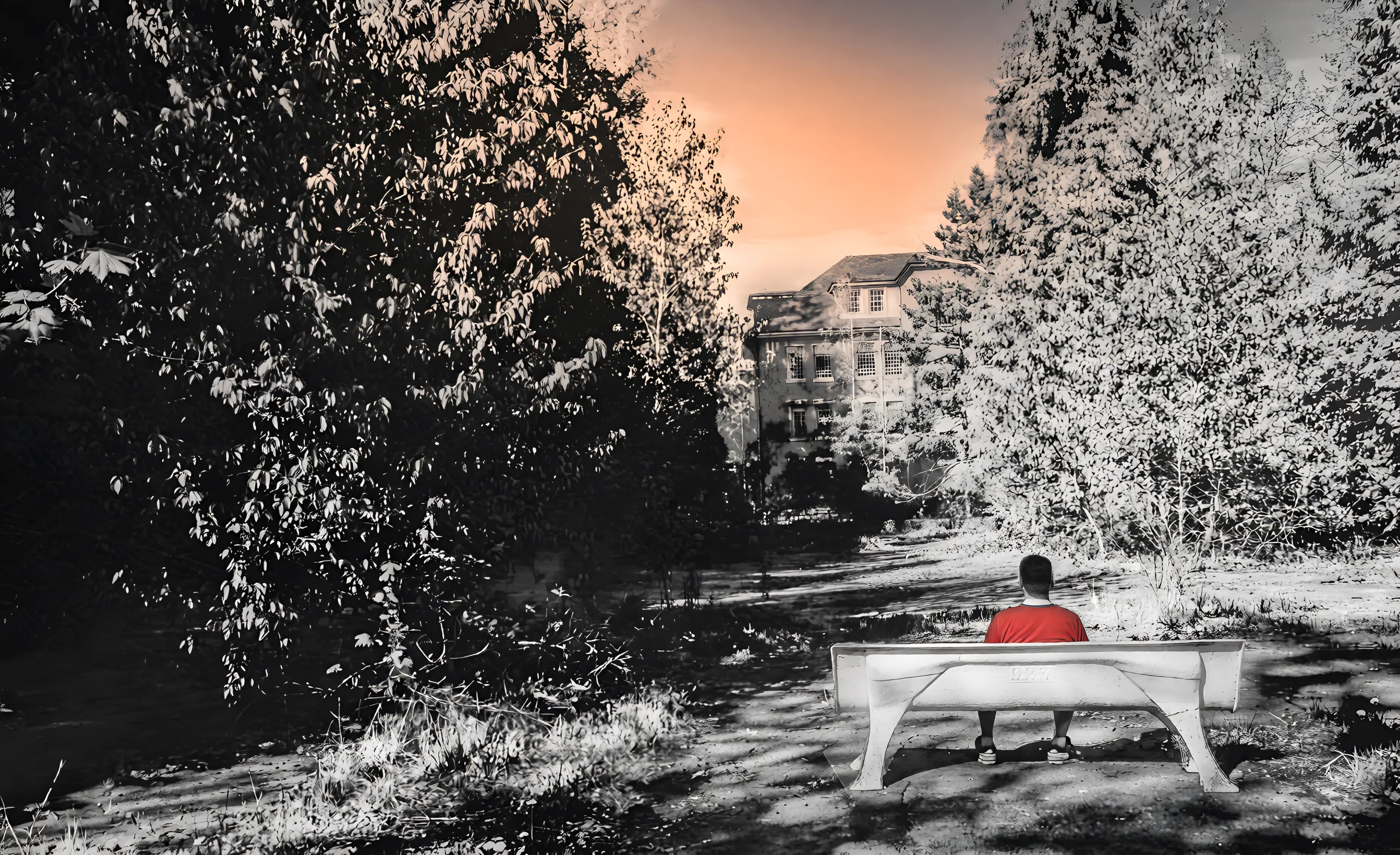 A person sitting alone on a park bench, solitary moment in public space, contemplative portrait