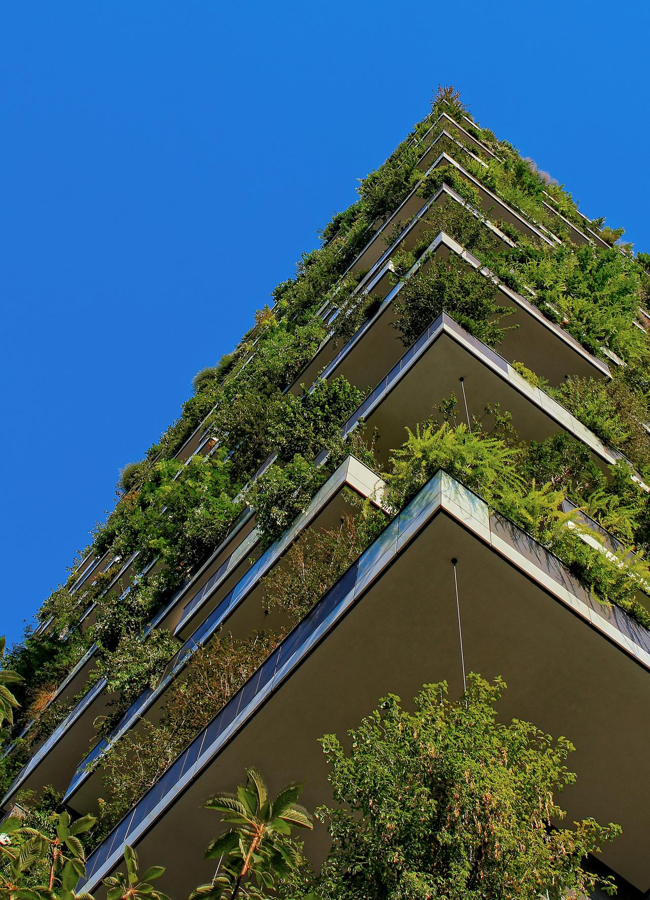 Bosco verticale 121