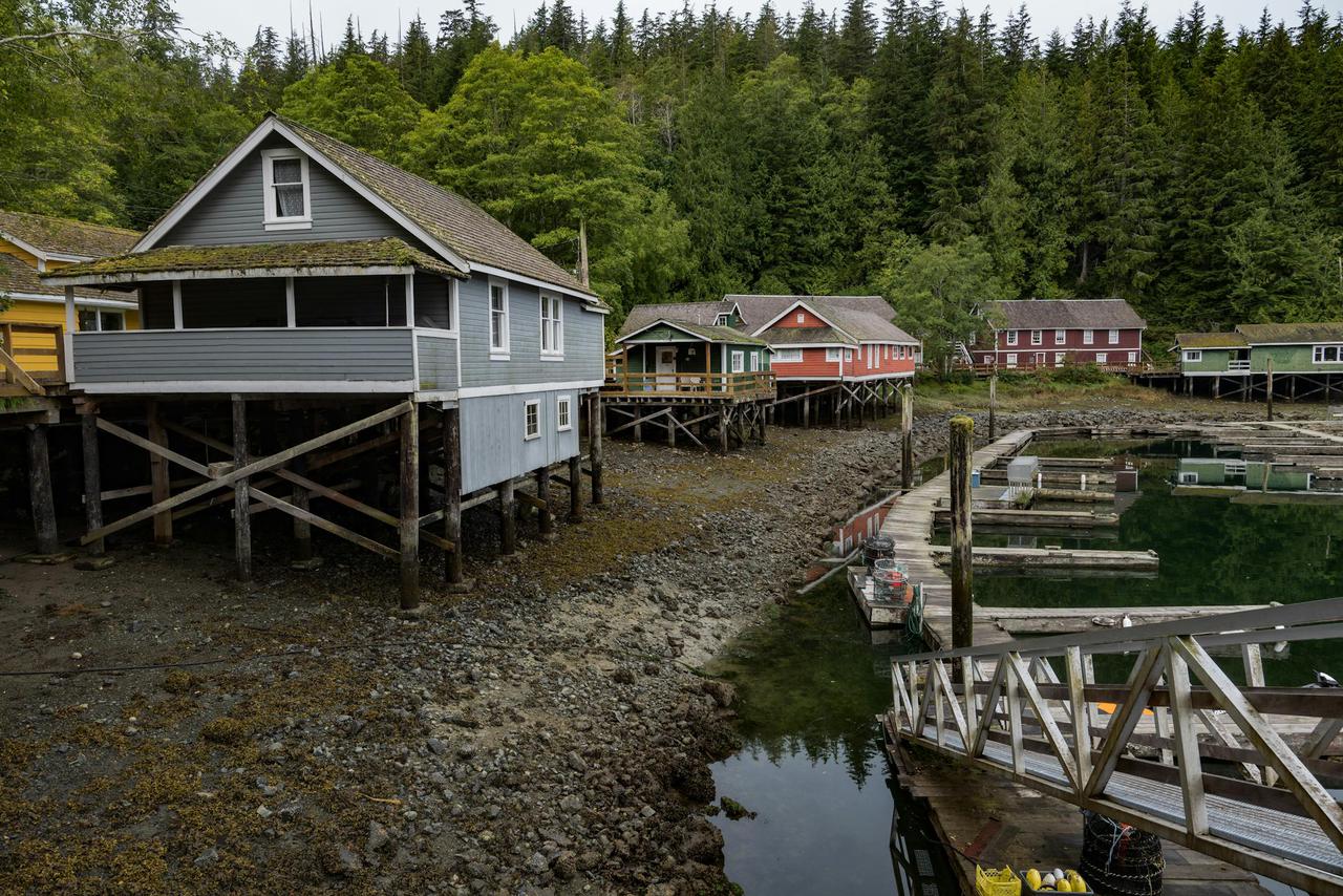Historic boathouses on stilts in Telegraph Cove, BC, surrounded by lush forest.