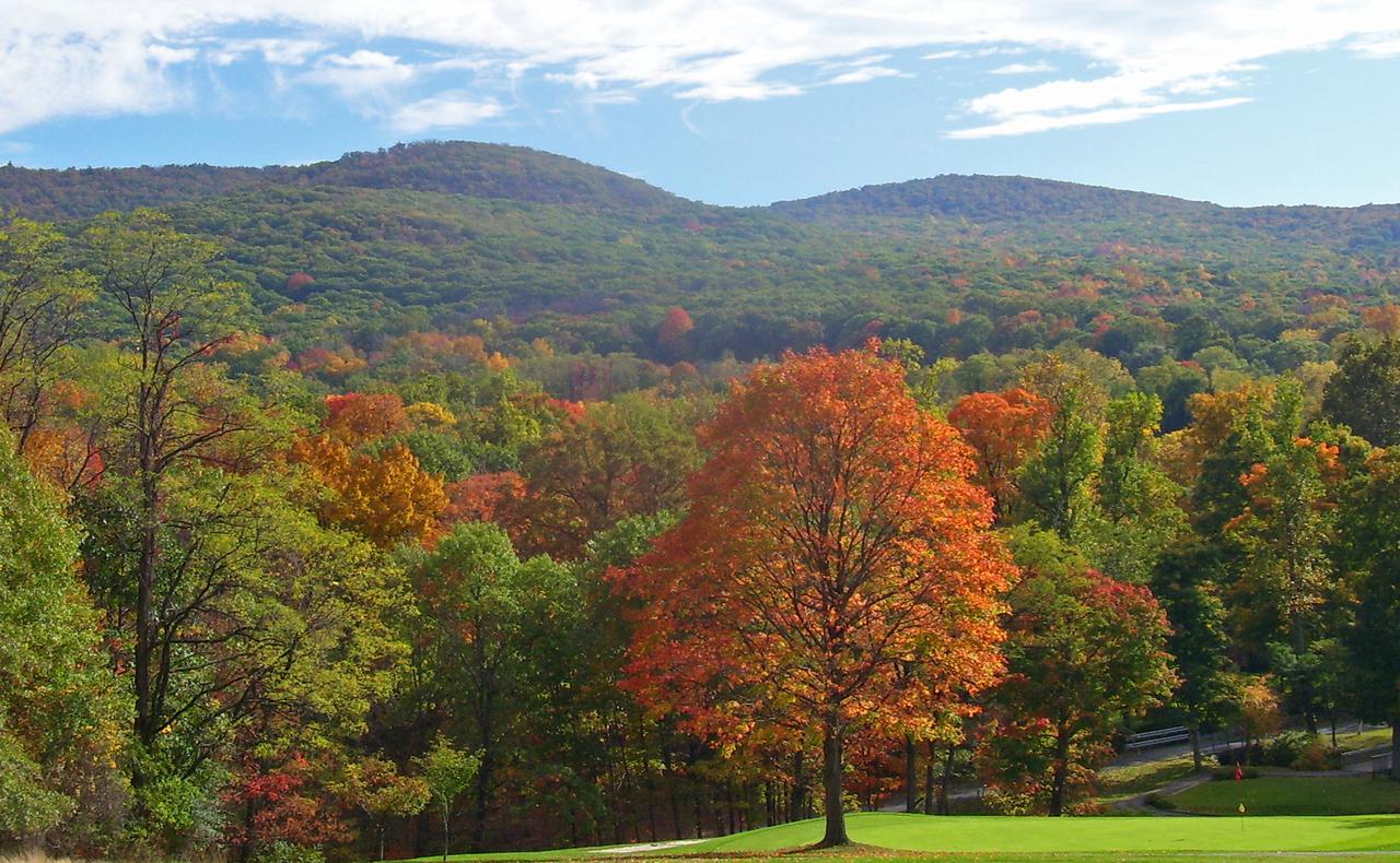 black_rock_forest_view_from_ne.jpg