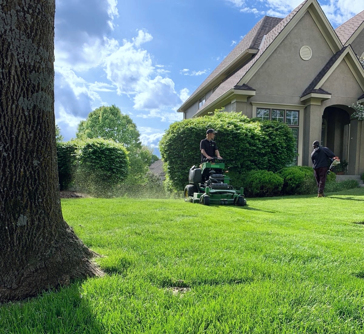 Professional lawn mowing service