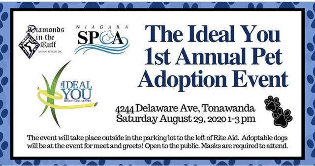 Niagara SPCA - Upcoming Events