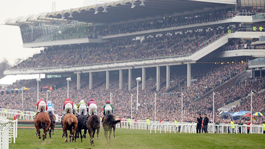 cheltenham-crowd-2-920x518.jpg