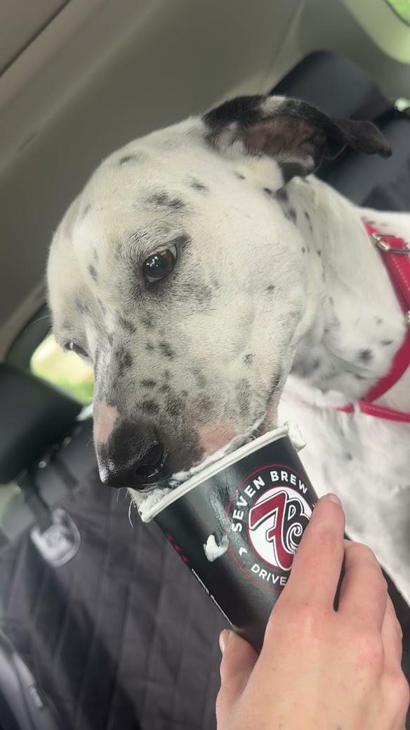oreoshake.jpg