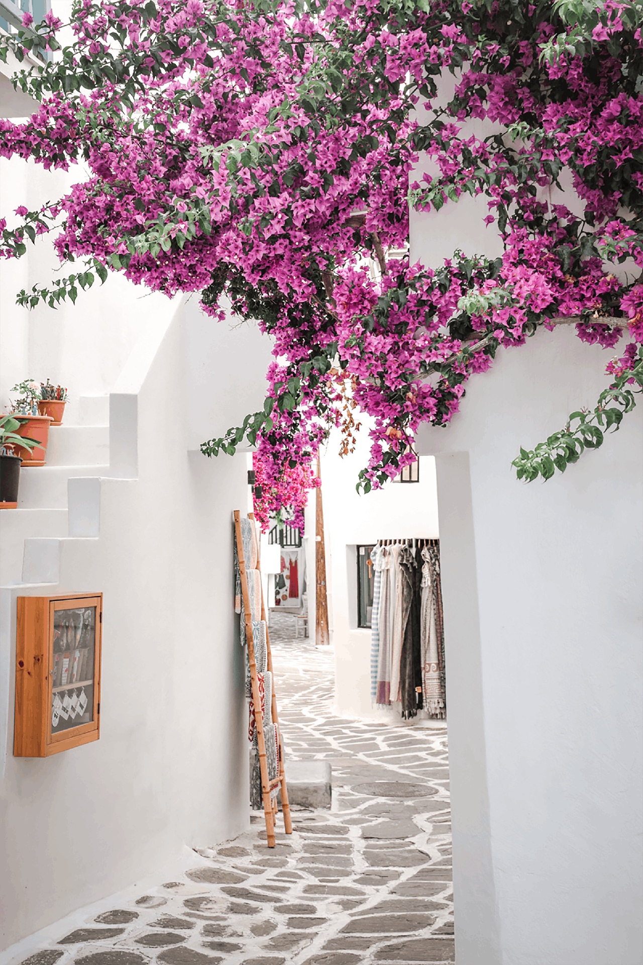 Picturesque Greek walkway adorned with vibrant bougainvillea and whitewashed walls.