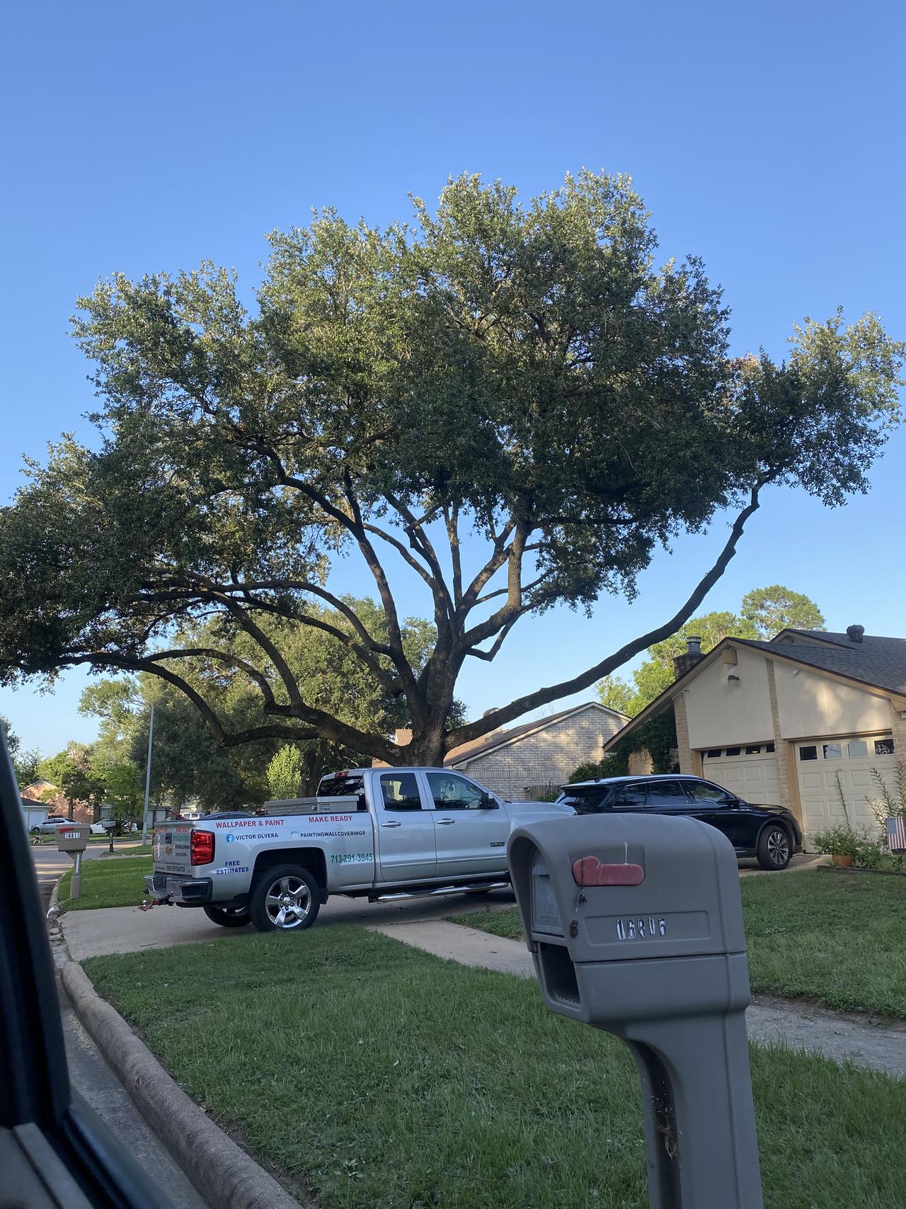 img_0310.jpeg